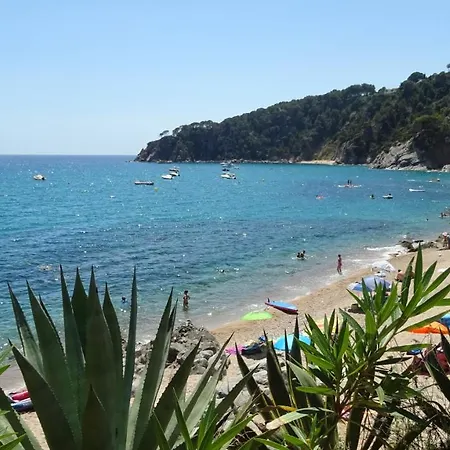 Bonic Al Centre Appartement *