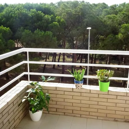 Apartment Bonic Al Centre