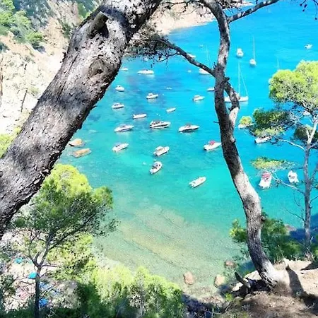 Bonic Al Centre * Blanes