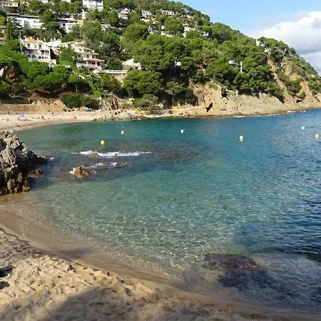 Apartment Bonic Al Centre Blanes